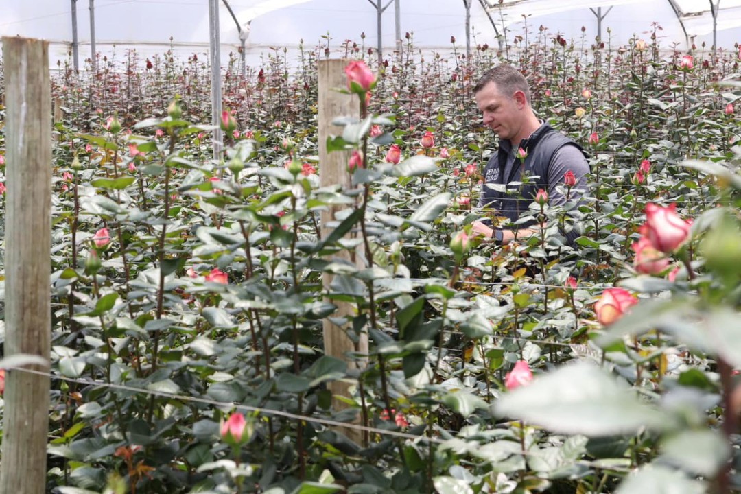 Penny + Clover greenhouse inspection and quality control