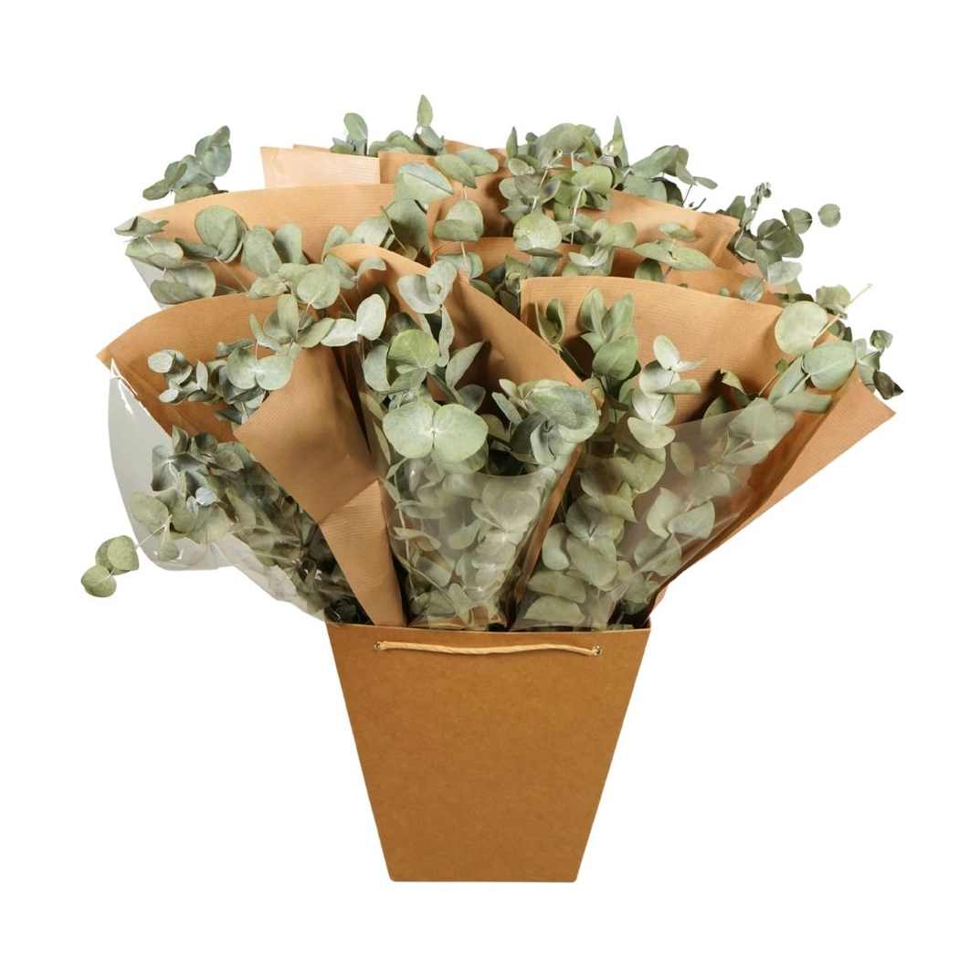 Eucalyptus bunches in kraft paper wraps